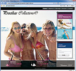 WEBDEV: Dynamic Internet and Intranet sites