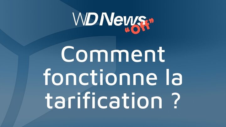 WDNews | OFF | WEBDEV : comment fonctionne la tarification