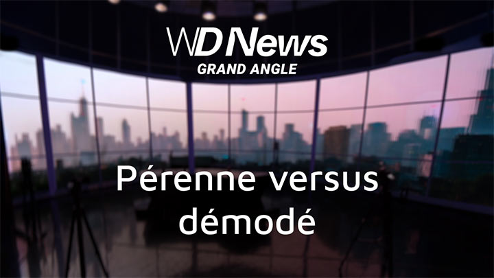 WDNews | GRAND ANGLE | WINDEV : pérenne versus démodé